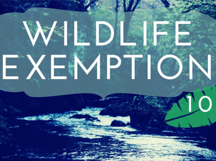 Wildlife Exemption 101