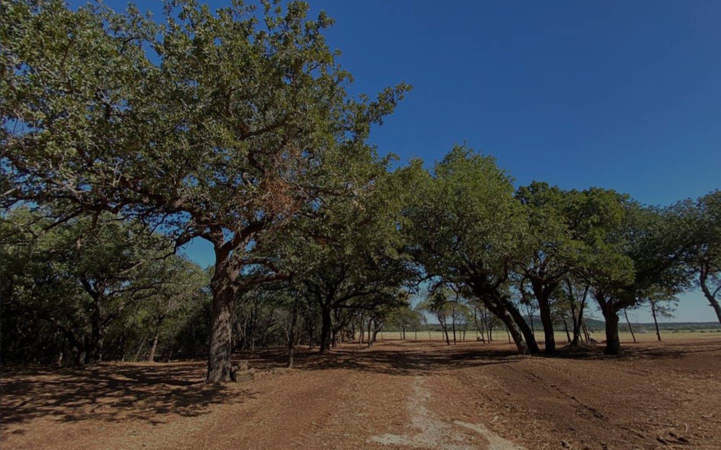 Right-of-Way Clearing Services | Cedar Eaters of Texas