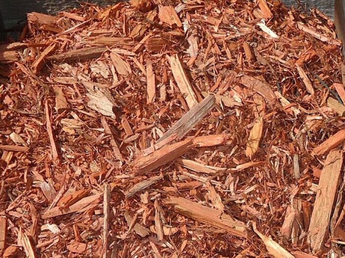 cedar mulch