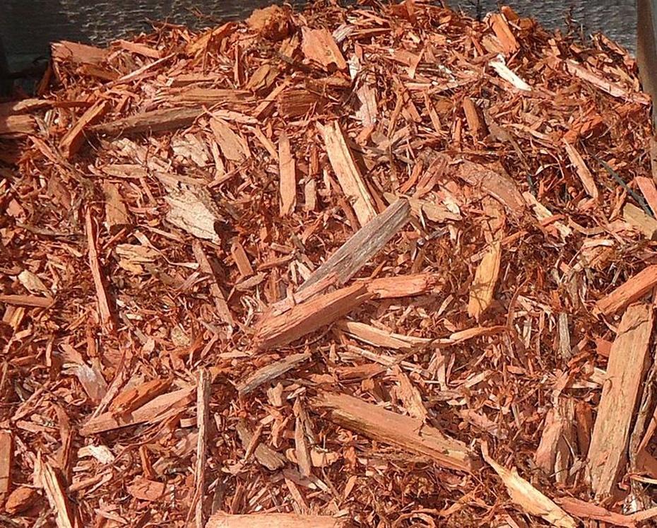 cedar mulch