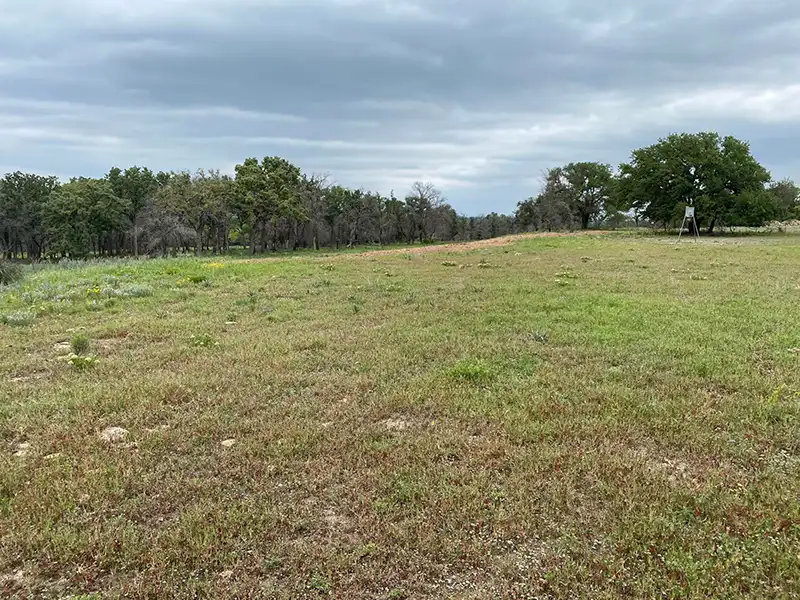 Cedar mulching land clearing services after wildfire