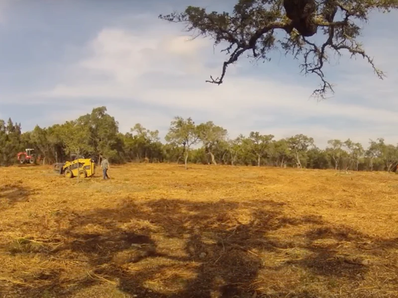 cedar mulching and land clearing