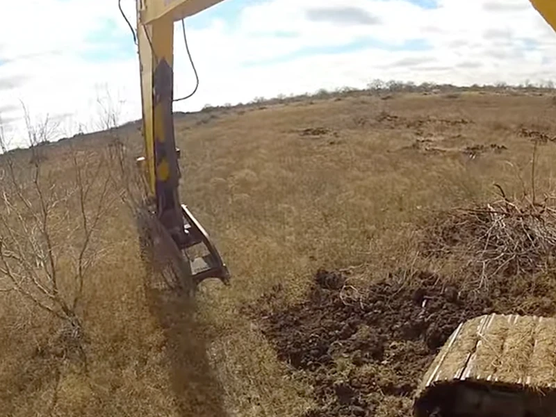 removing mesquite trees and land clearing services