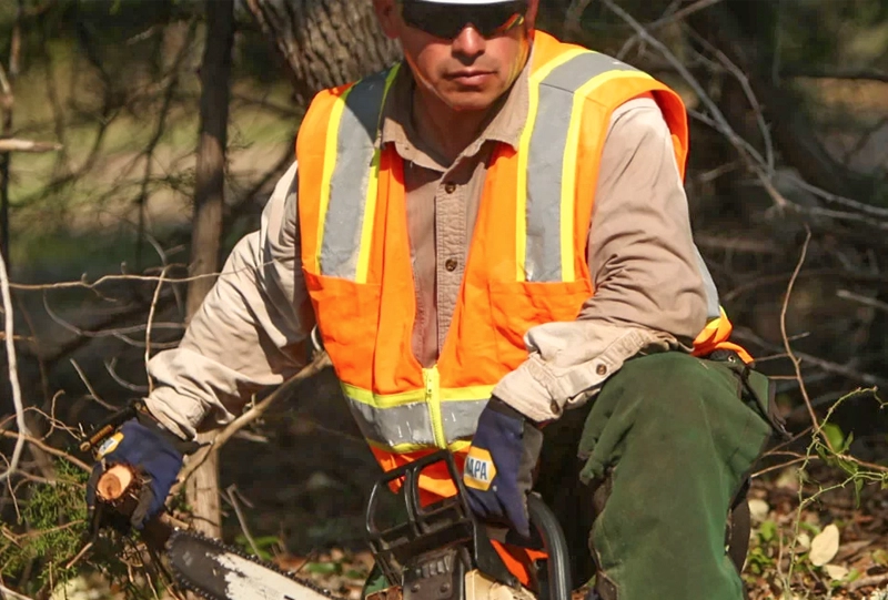 hand-cutting-crew-chainsaw