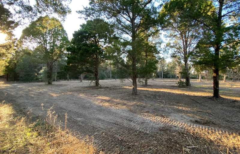 forestry mulching services