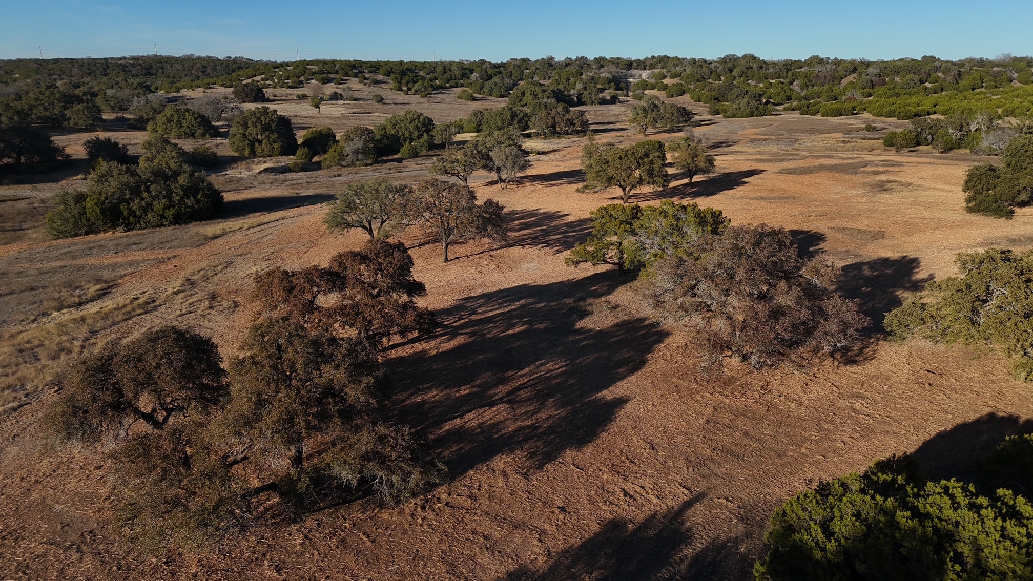 Pastureland restored from the encroachment of Cedar trees in Bosque County TX.