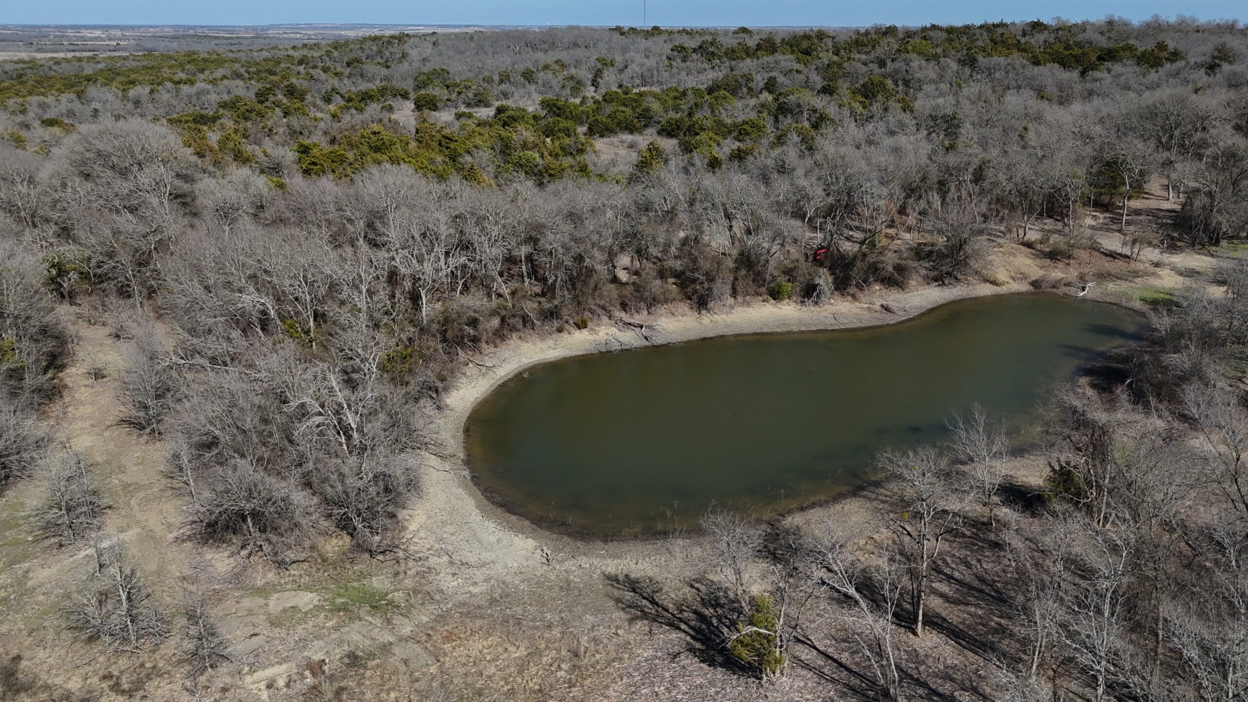 Pond in Central TX covered in briar, dead vegetation, and cedar.