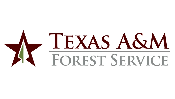 texas-a-m-forest-service